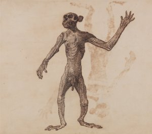 A Comparative Anatomical Exposition of the Structure of the Human Body with That of a Tiger and a Cow by George Stubbs